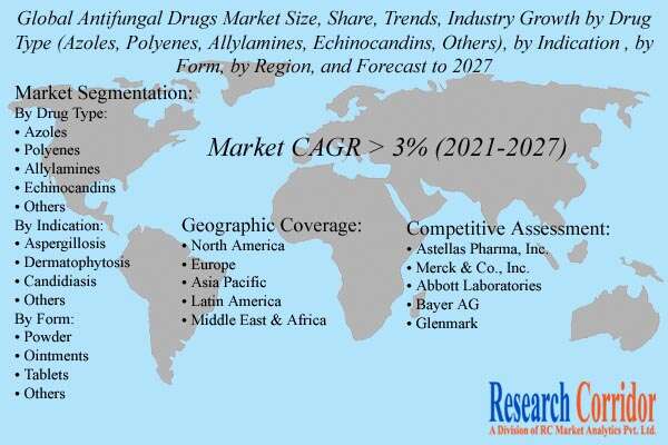 Antifungal Drugs Market Size