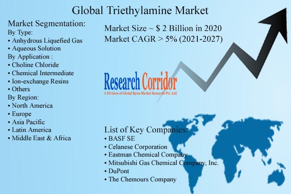 Triethylamine Market Size & Forecast