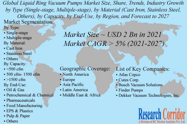 Liquid Ring Vacuum Pumps Market Size & Forecast