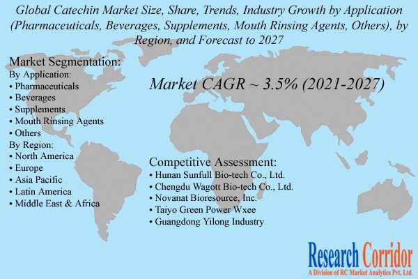 Catechin Market Size