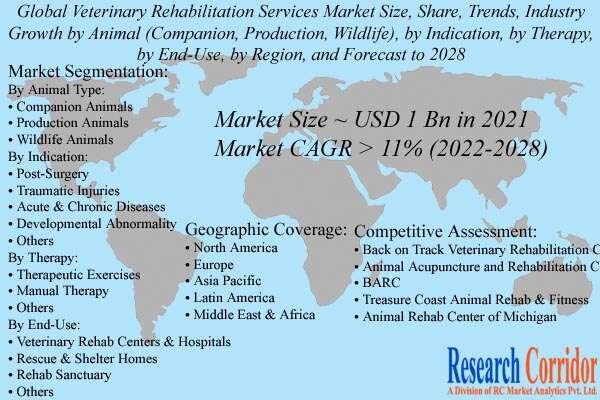 Veterinary Rehabilitation Services Market Size Size & Growth