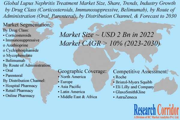 Lupus Nephritis Treatment Market Size