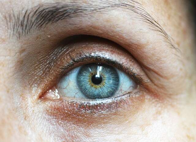 Potential use of gene therapy to restore vision lost due to degenerative disease
